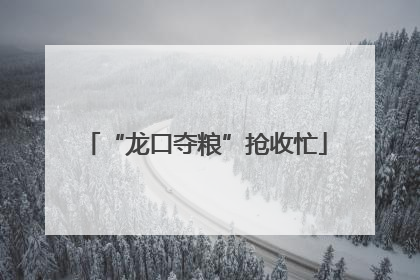 “龙口夺粮”抢收忙