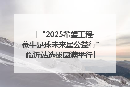 “2025希望工程·蒙牛足球未来星公益行”临沂站选拔圆满举行