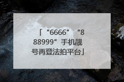 “6666”“888999”手机靓号再登法拍平台