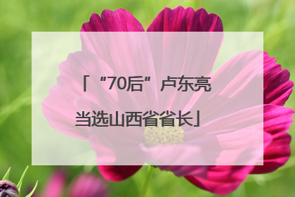 “70后”卢东亮当选山西省省长