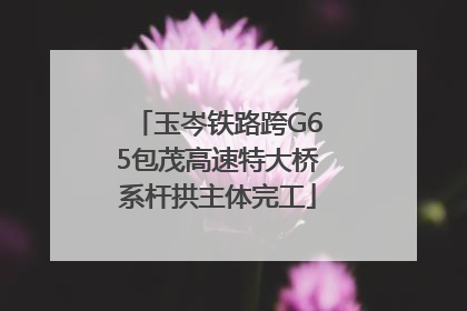 玉岑铁路跨G65包茂高速特大桥系杆拱主体完工