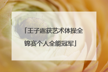 王子露获艺术体操全锦赛个人全能冠军
