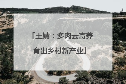 王婧：多肉云寄养 育出乡村新产业