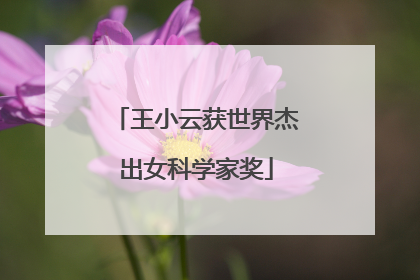 王小云获世界杰出女科学家奖