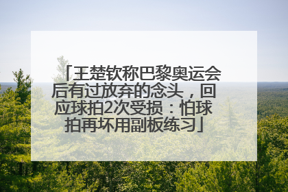 王楚钦称巴黎奥运会后有过放弃的念头，回应球拍2次受损：怕球拍再坏用副板练习