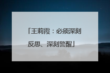 王莉霞：必须深刻反思、深刻警醒