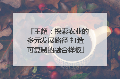 王超：探索农业的多元发展路径 打造可复制的融合样板