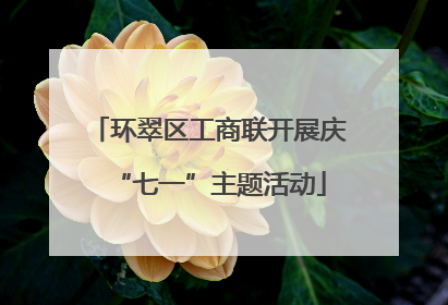 环翠区工商联开展庆“七一”主题活动