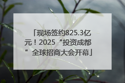 现场签约825.3亿元！2025“投资成都”全球招商大会开幕