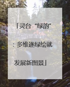 灵台“绿韵”：多维逐绿绘就发展新图景
