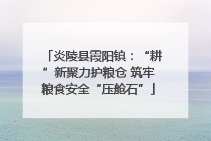 炎陵县霞阳镇：“耕”新聚力护粮仓 筑牢粮食安全“压舱石”