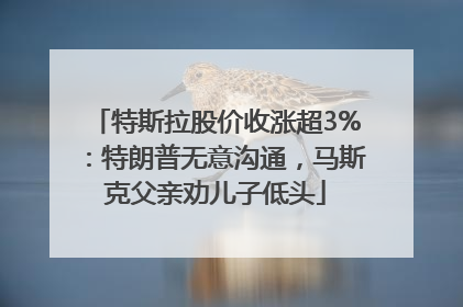 特斯拉股价收涨超3%：特朗普无意沟通，马斯克父亲劝儿子低头