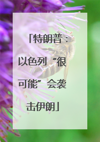 特朗普：以色列“很可能”会袭击伊朗