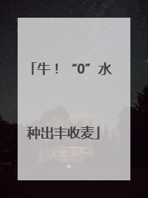 牛！“0”水种出丰收麦