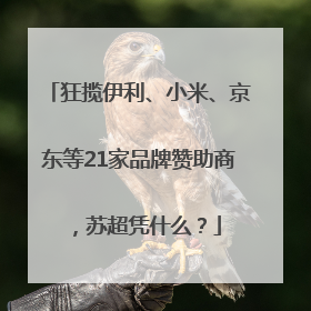 狂揽伊利、小米、京东等21家品牌赞助商，苏超凭什么？