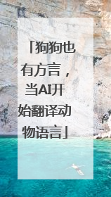 狗狗也有方言，当AI开始翻译动物语言