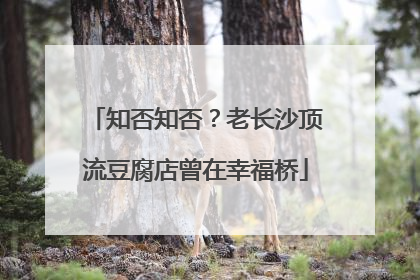 知否知否？老长沙顶流豆腐店曾在幸福桥