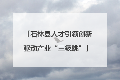 石林县人才引领创新驱动产业“三级跳”