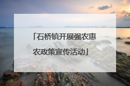 石桥镇开展强农惠农政策宣传活动