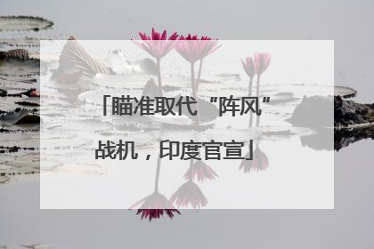 瞄准取代“阵风”战机，印度官宣