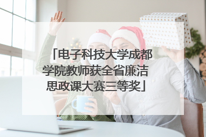 电子科技大学成都学院教师获全省廉洁思政课大赛三等奖