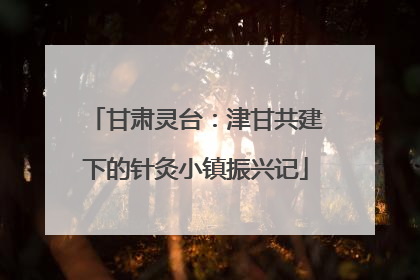 甘肃灵台：津甘共建下的针灸小镇振兴记