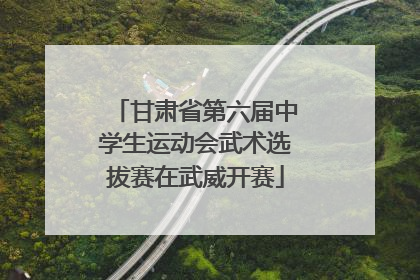 甘肃省第六届中学生运动会武术选拔赛在武威开赛
