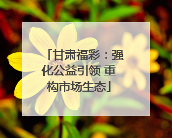 甘肃福彩：强化公益引领 重构市场生态