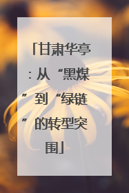甘肃华亭：从“黑煤”到“绿链”的转型突围