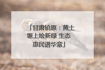 甘肃镇原：黄土塬上绘新绿 生态惠民谱华章
