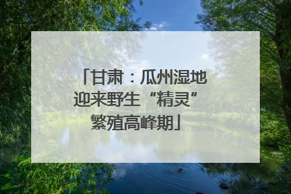 甘肃：瓜州湿地迎来野生“精灵”繁殖高峰期