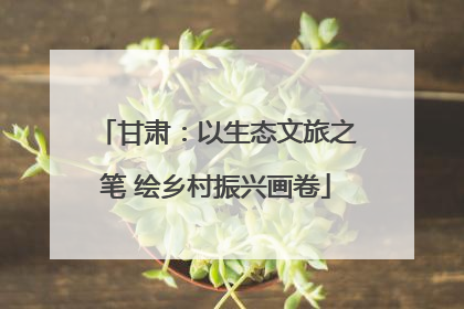 甘肃：以生态文旅之笔 绘乡村振兴画卷