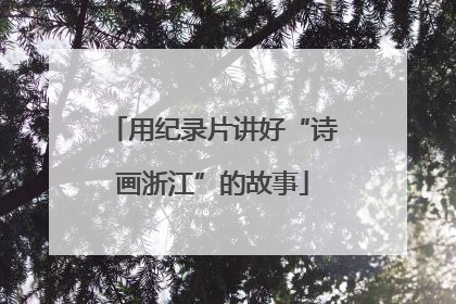 用纪录片讲好“诗画浙江”的故事