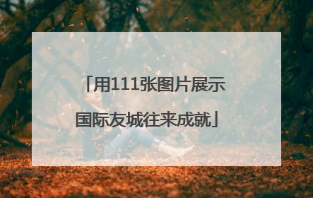 用111张图片展示国际友城往来成就