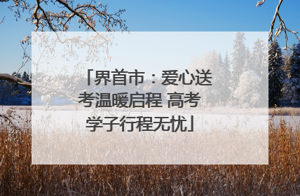 界首市：爱心送考温暖启程 高考学子行程无忧