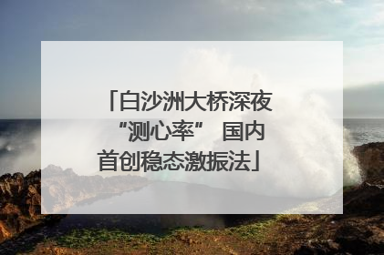 白沙洲大桥深夜“测心率” 国内首创稳态激振法