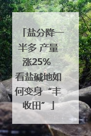 盐分降一半多 产量涨25% 看盐碱地如何变身“丰收田”