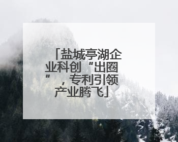 盐城亭湖企业科创“出圈”，专利引领产业腾飞