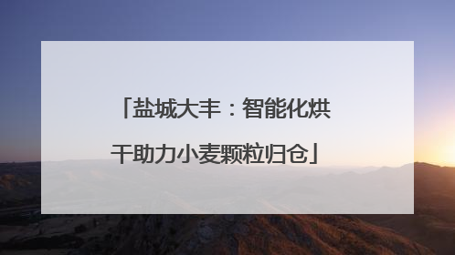 盐城大丰：智能化烘干助力小麦颗粒归仓