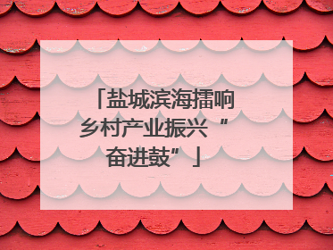 盐城滨海擂响乡村产业振兴“奋进鼓”