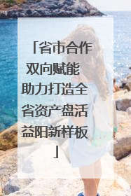 省市合作双向赋能 助力打造全省资产盘活益阳新样板