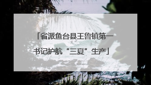 省派鱼台县王鲁镇第一书记护航“三夏”生产