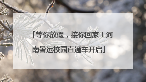 等你放假，接你回家！河南暑运校园直通车开启