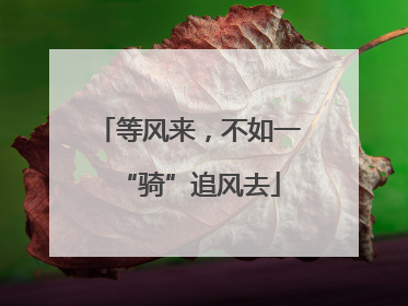 等风来，不如一“骑”追风去