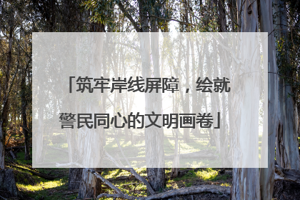 筑牢岸线屏障，绘就警民同心的文明画卷