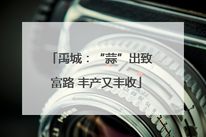 禹城：“蒜”出致富路 丰产又丰收