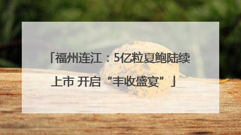 福州连江：5亿粒夏鲍陆续上市 开启“丰收盛宴”