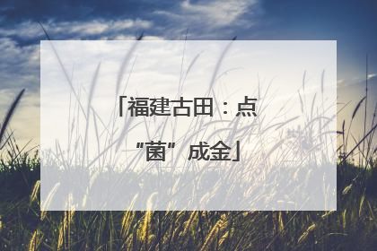 福建古田：点“菌”成金
