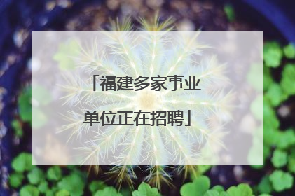 福建多家事业单位正在招聘