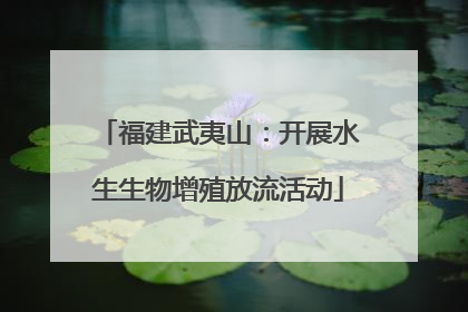 福建武夷山：开展水生生物增殖放流活动